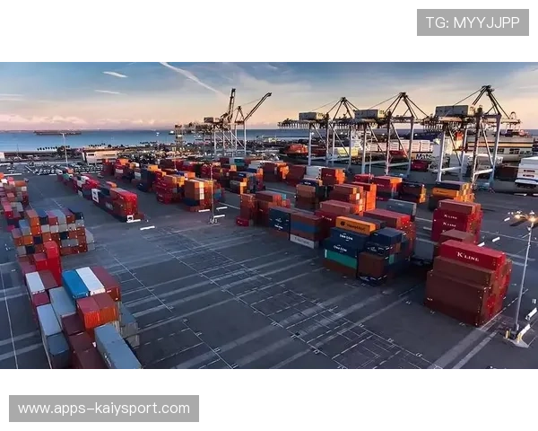 切尔西的长远投资正在带来可见回报 切尔西的长远投资正在带来可见回报