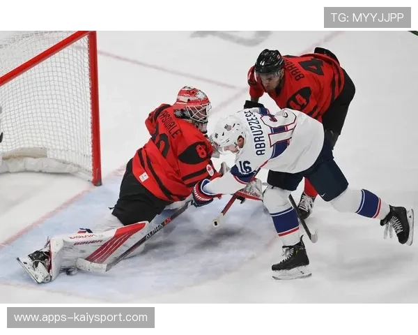 世界冰球:加拿大队霸气夺冠,实力不容挑战!,加拿大冰球视频 世界冰球:加拿大队霸气夺冠,实力不容挑战!,加拿大冰球视频