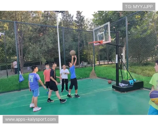 中国篮球赛事在海外华侨圈层中的传播行为调查,海外打球的中国篮球 中国篮球赛事在海外华侨圈层中的传播行为调查,海外打球的中国篮球