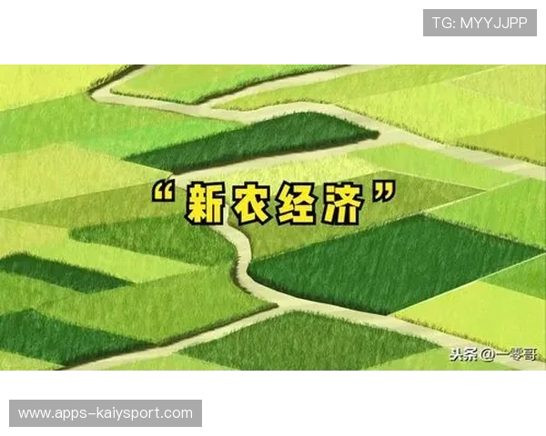 新版本经济系统更加复杂