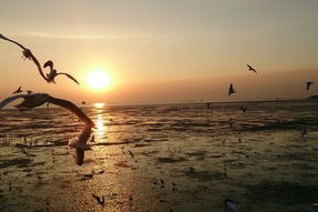 开云体育网页入口-青春无畏热爱不止，无青春不热血什么意思